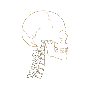 Icona cervicalgia: tratto cervicale e occipite